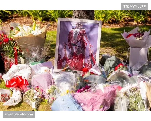 欧足联宣布女足欧洲杯开赛前将为若塔默哀一分钟以表达深切悼念 欧足联宣布女足欧洲杯开赛前将为若塔默哀一分钟以表达深切悼念